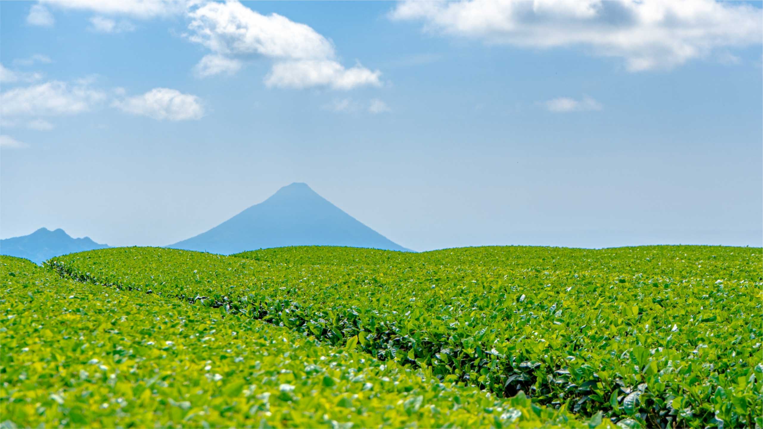 開聞岳